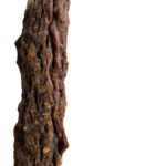 Simple Snacks Beef Recipe Treat Piece