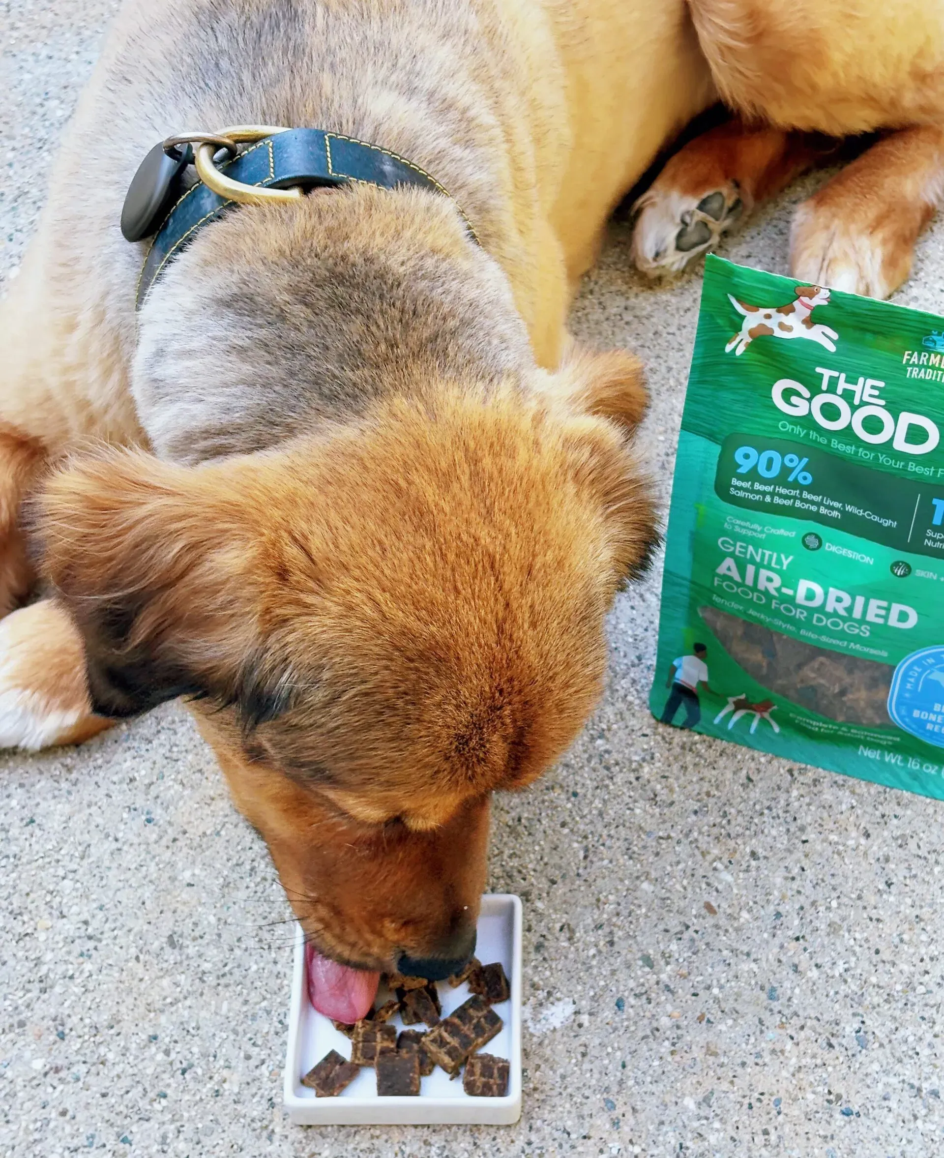 Dog eating the GoodList
