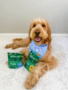image of dog with packaging for the good list in beef and chicken