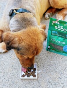 image of dog eating the good list in beef from a bowl
