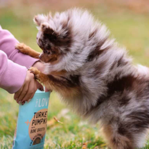 image of dog with tiny loves treats