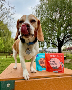 image of dog with tiny loves treats