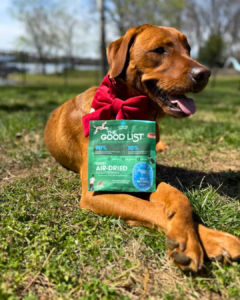 image of dog with the good list outside