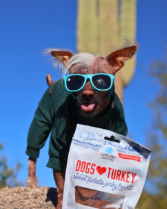 image of dog with dogs love jerky treats