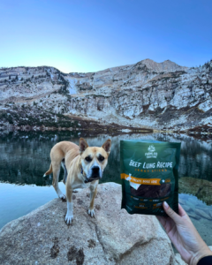 image of dog with simple snacks