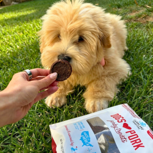 puppy with dogs love jerky