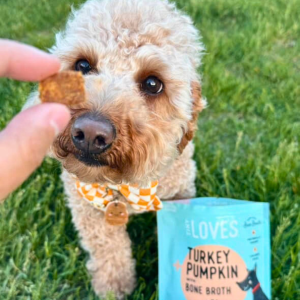 puppy with tiny loves