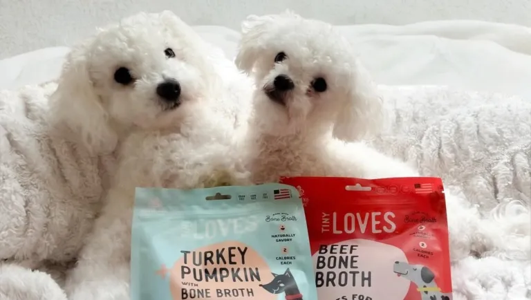 puppies with tiny loves