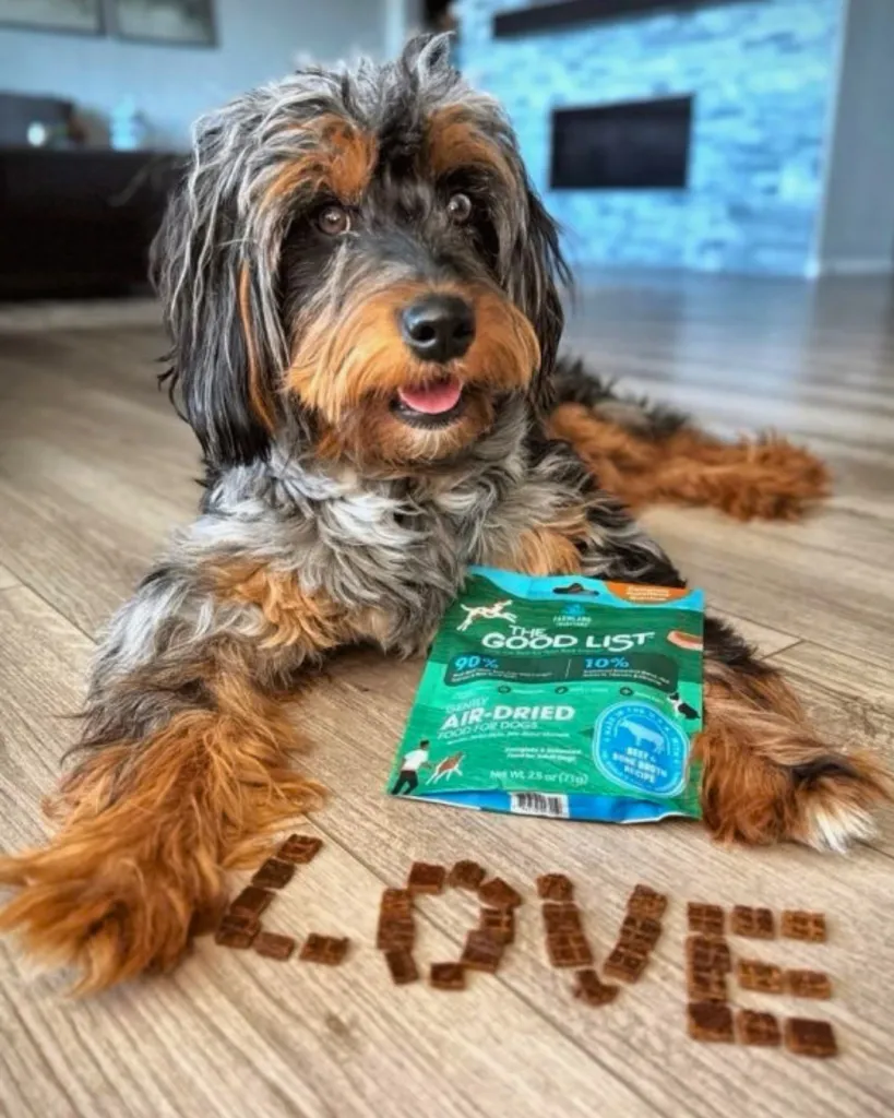 dog with the good list bag and bites of the good list on floor spelling out the word love
