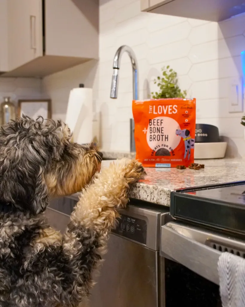 dog reaching for tiny loves treats on counter