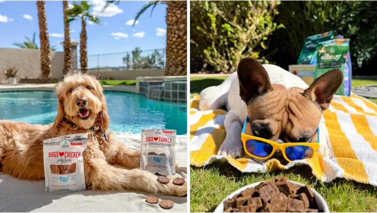two images - one of teddy with dogs love treat by the pool and another of midas with the good list outside laying out