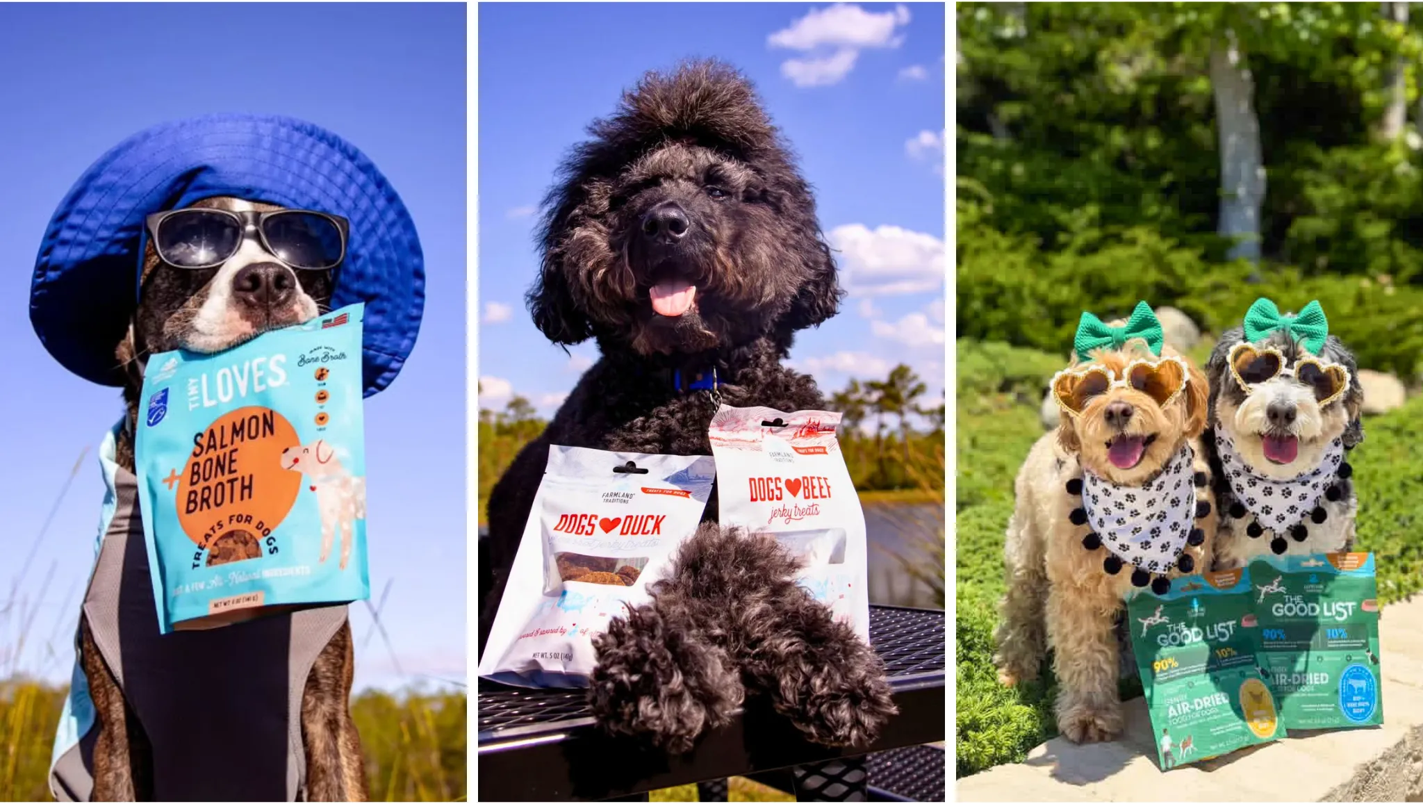 collage image of dogs with tiny loves, dogs love, and the good list