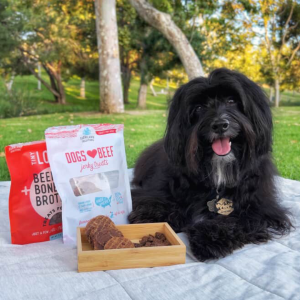 image of dog with dogs love and tiny loves treat during picnic