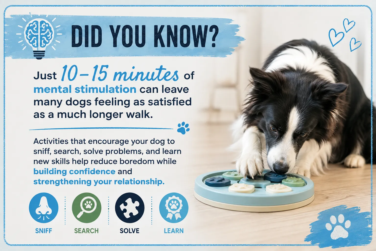 did you know inforgraphic