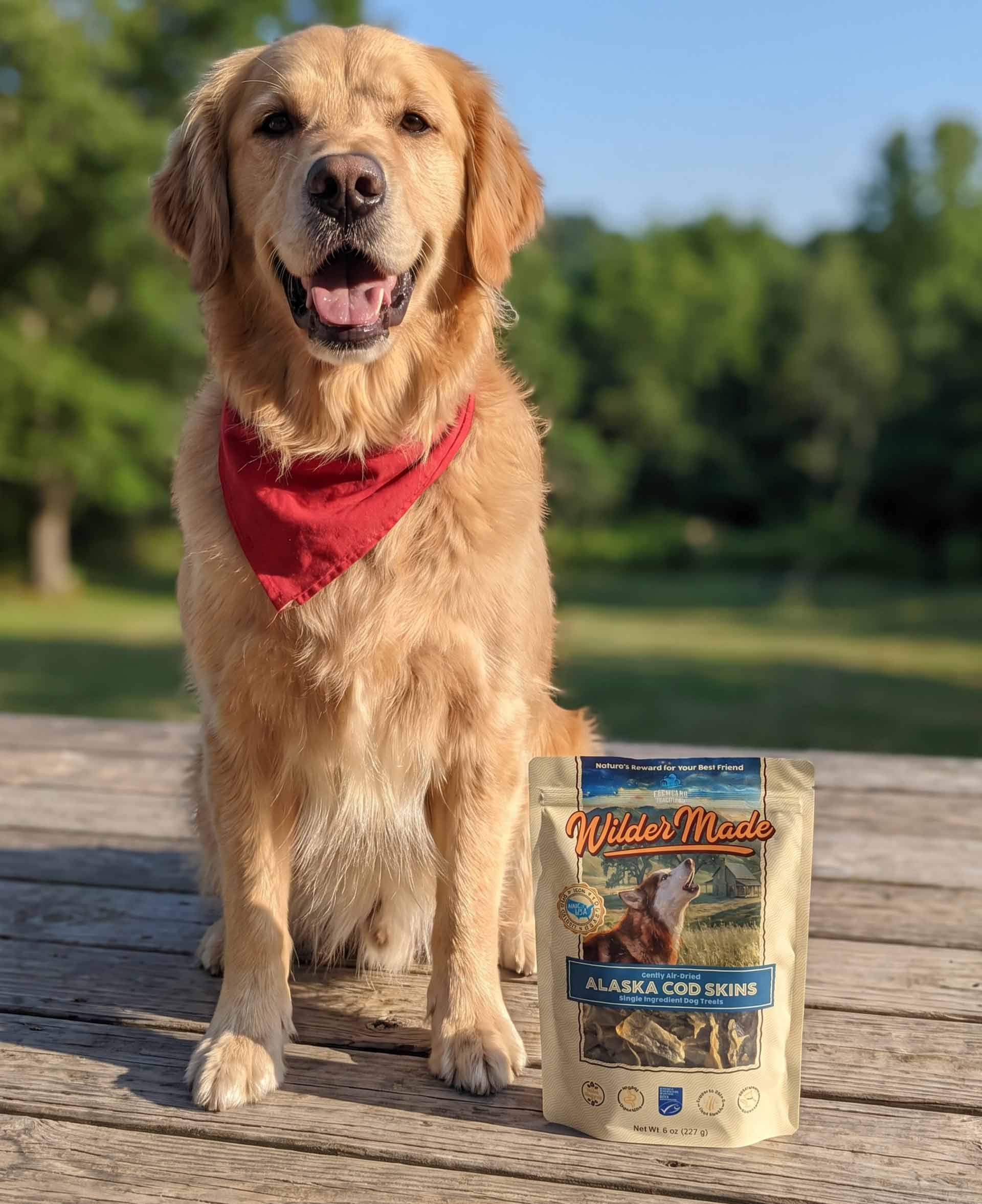 Wilder Made cod skins with dog
