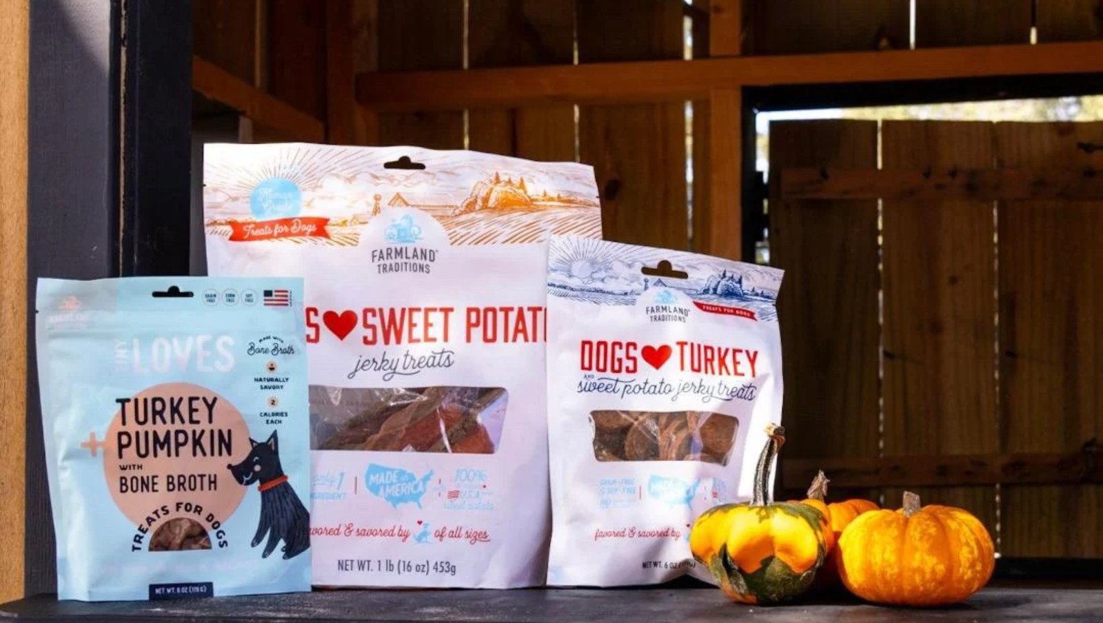 Dogs enjoying Farmland Traditions fall-inspired treats at a pumpkin patch