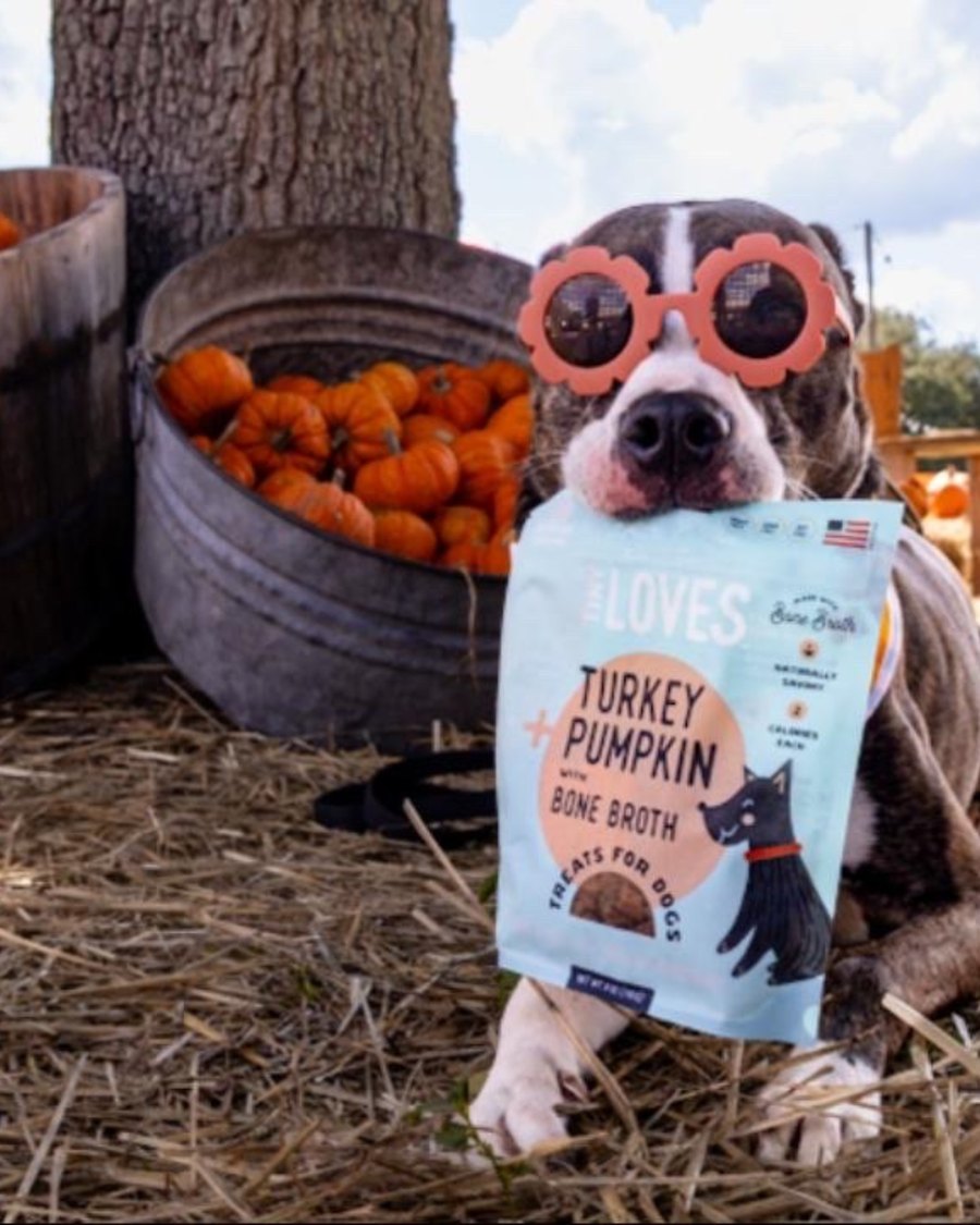 Tiny Loves Turkey & Pumpkin with Bone Broth