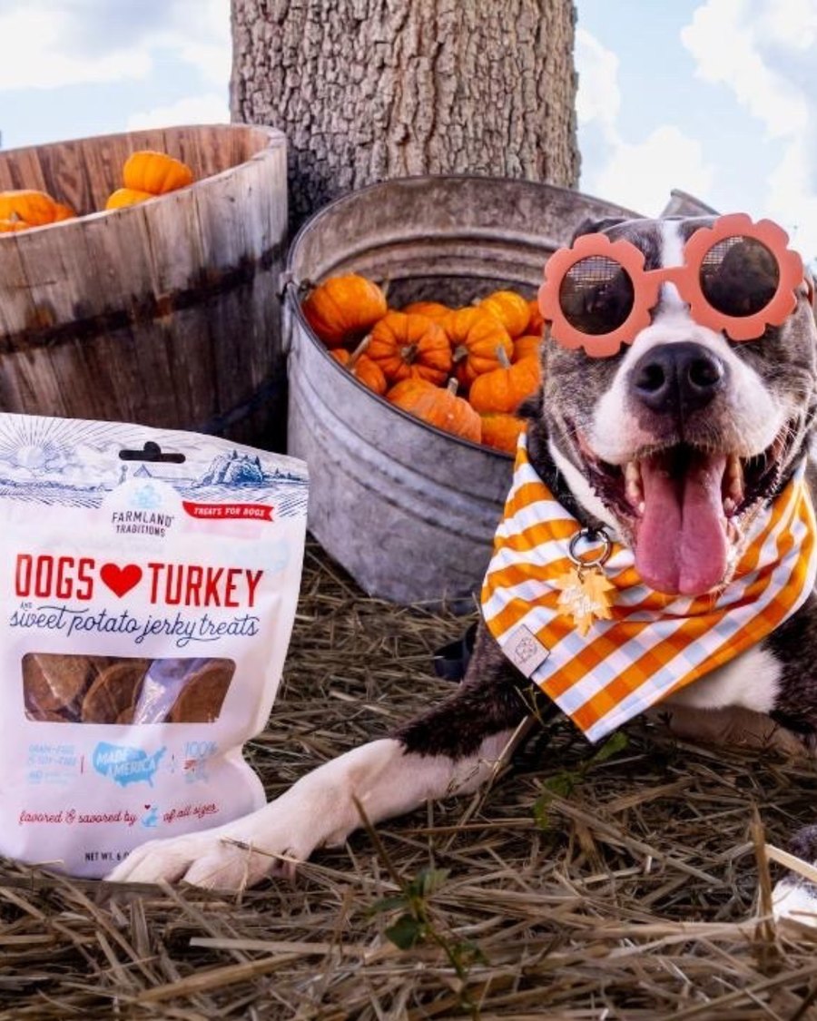 Dogs Love Turkey & Sweet Potato